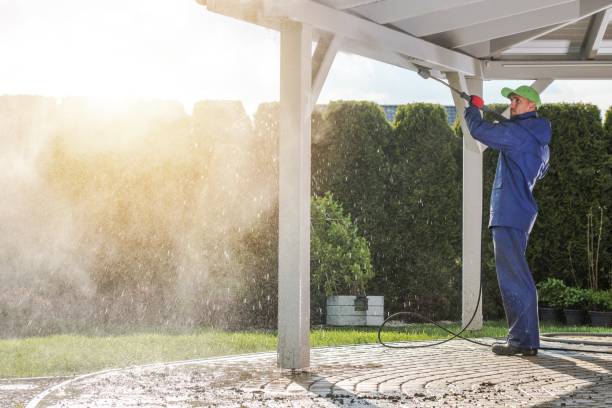 Best Solar Panel Cleaning  in Roebling, NJ
